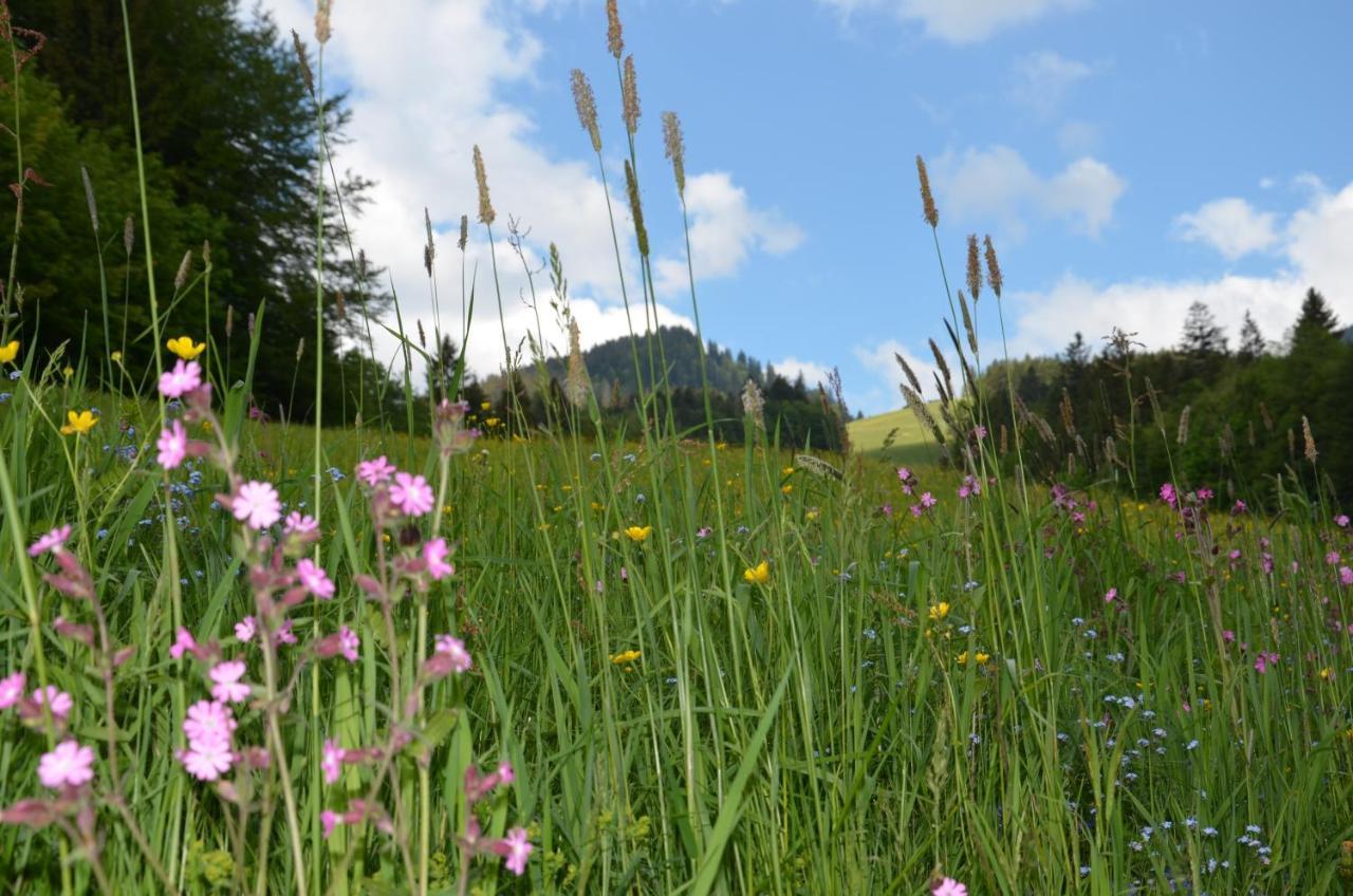 Heustubn Ferienwohnungen Unken Exteriör bild